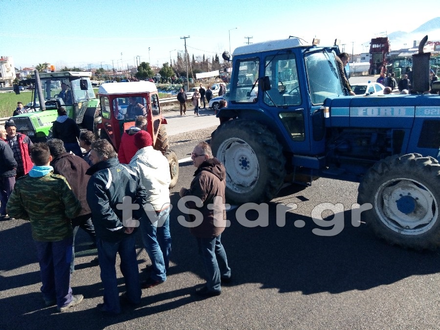 agrotes mplokoklisimo16