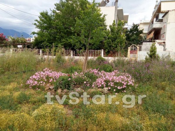 Λαμία: Απαγορεύουν σε εθελοντές να φροντίζουν πλατεία .(video)