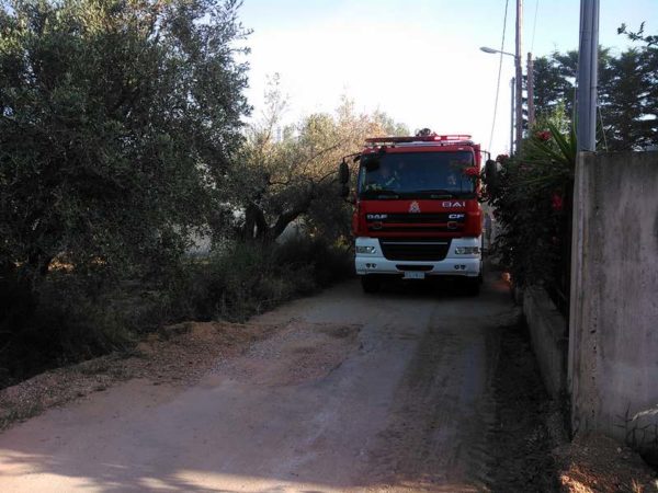 Φωτιά κοντά σε σπίτια αναστάτωσε κατοίκους και πυροσβεστική. (φώτο και video)