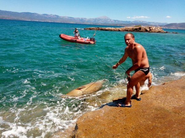 Σκοτωμένη φώκια στις Αλυκές (δείτε το βίντεο)