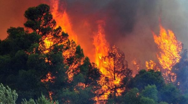 Η Εύβοια σήμερα στον Χάρτη Υψηλού Κινδύνου Πυρκαγιάς