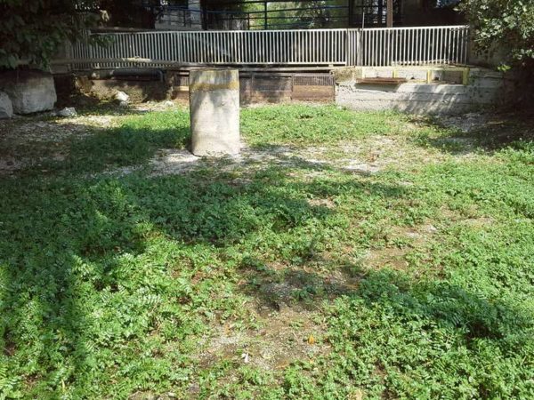 “Σβήνουν”… οι Πηγές των Χαρίτων στον Ορχομενό. Φόβοι για οικολογική καταστροφή (video-photo)