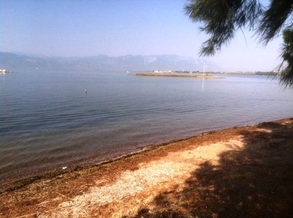 Ταυτοποιήθηκε το πτώμα του νεαρού άντρα που βρέθηκε στον Καλόγηρο Στυλίδας