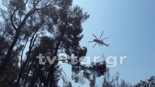 Γιατί παραμένει η Π.Υ. στη Βόρεια Εύβοια. Τι δηλώνει ο περιφερειακός διοικητής. (video)