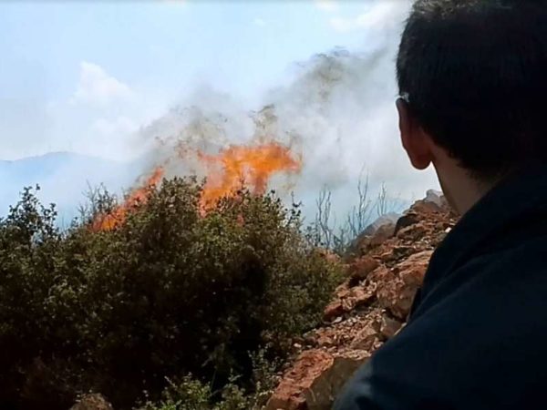 Υπό έλεγχο οι φωτιές σε Κόκκινο Ορχομενού και Δεσφίνα (video-photo)