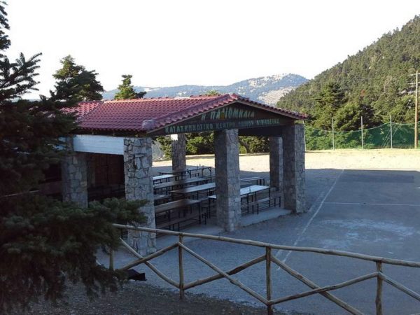Ολοκληρώθηκε το κατασκηνωτικό πρόγραμμα στις κατασκηνώσεις της παλιομηλιάς στο Ζερίκι (video-photo)