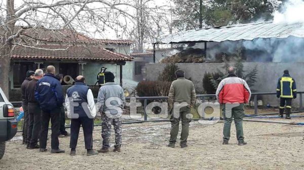 Πυρκαγιά στον Ιππικό όμιλο Λαμίας (φωτογραφίες και video)