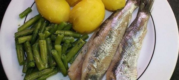 Η μεσογειακή διατροφή βοηθά και στη διατήρηση της υγείας του εγκεφάλου