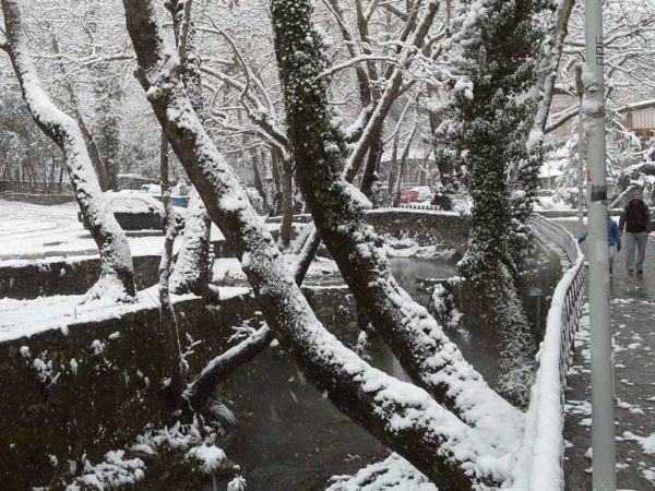 Στην κατάψυξη και η Βοιωτία. Χιόνια παντού (video-photo)
