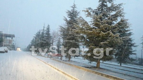 Video: Λευκό τοπίο η Λαμία