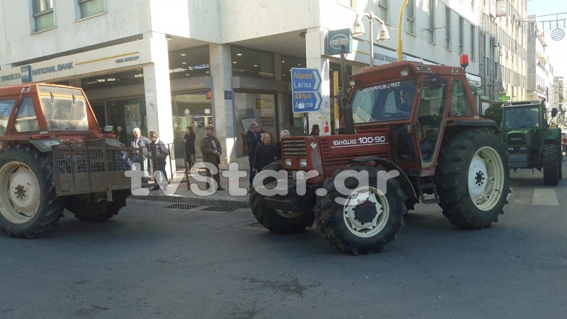 agrotes