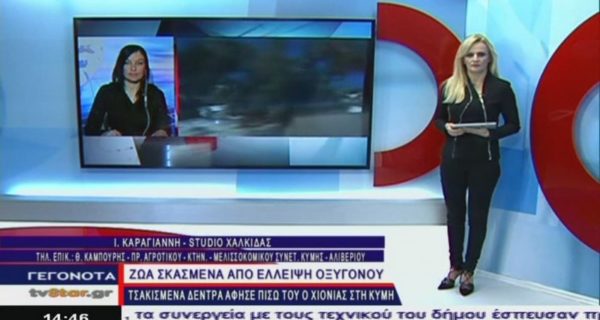 Πως επέζησαν οι εγκλωβισμένοι βοσκοί από τον χιονιά της Κύμης (video)