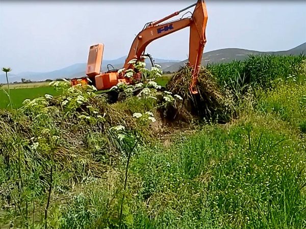 “Πνίγεται”… από τη βλάστηση ο Βοιωτικός Κηφισός. Τι κίνδυνος υπάρχει (video)