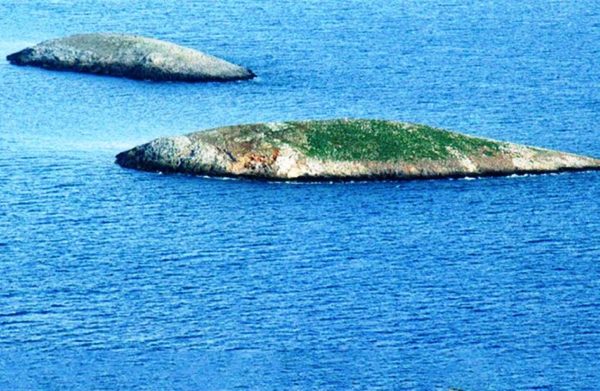 «Fake news» τα περί πτώσης τουρκικού ελικοπτέρου στα Ίμια