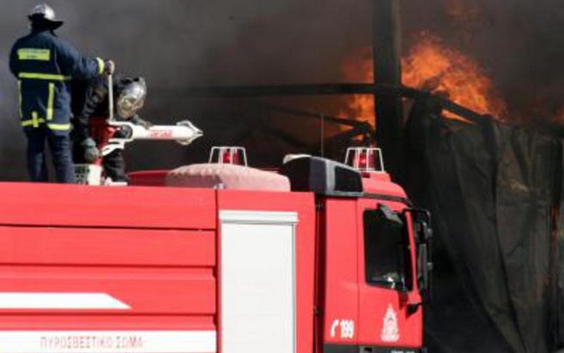 Φωτιά σε αποθήκη στα Ψαχνά. Με εγκαύματα ένα αλογάκι ...