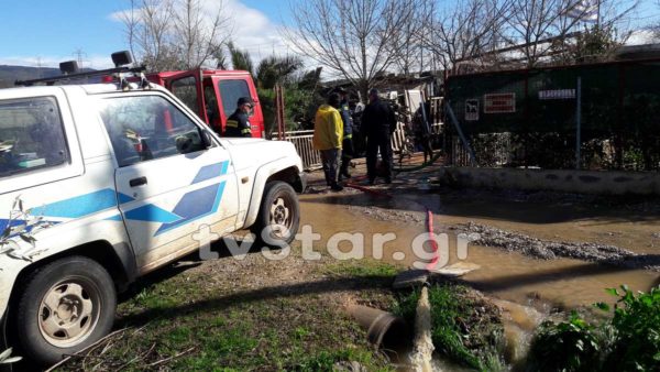 Κινδύνευσε κοπάδι. Καταγγελίες από τον λαμιώτη ιδιοκτήτη. (φώτο και video)