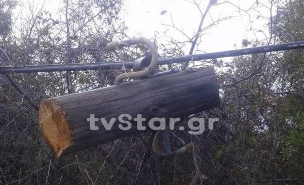 Απίστευτο: Έκοψαν με αλυσοπρίονο κολόνα του ΟΤΕ. (φωτογραφίες)