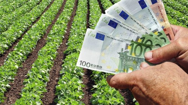 Αύριο η πληρωμή αποζημιώσεων 28 εκατ. ευρώ από τον ΕΛΓΑ σε περίπου 16.000 δικαιούχους