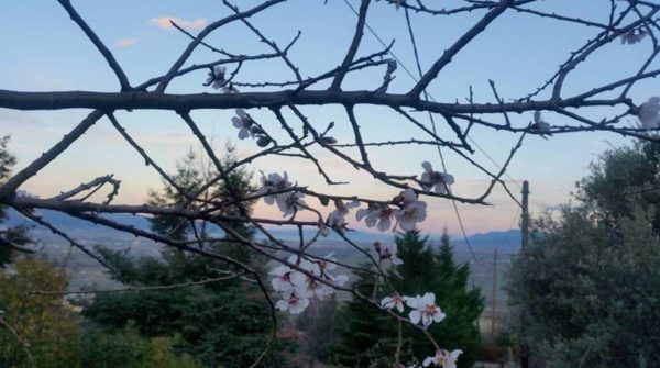 Καλοκαιρία το Σάββατο, χειμώνας Κυριακή και Δευτέρα. Ισχυροί άνεμοι και σκόνη