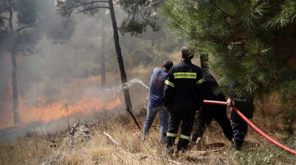 Πέντε τα πύρινα μέτωπα σε Αυλώνα, Κρήτη, Πελοπόννησο – 130 πυρκαγιές σε 24 ώρες
