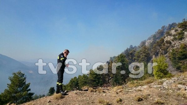 Κάηκε πευκόφυτη περιοχή στην Εύβοια από τις φωτιές του Σαββάτου