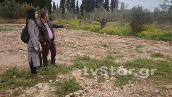 Πήγαν να δημιουργήσουν αλσύλλιο, αλλά τους το χάλασαν οι κλέφτες (video)