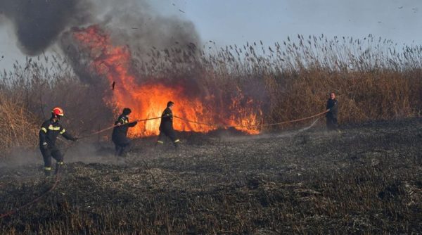 Ξεκίνησε η αντιπυρική περίοδος στην Εύβοια. Τι ισχύει…