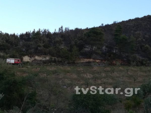 Εμπρησμό μυρίζει η φωτιά στην Κύμη. Ο Υπαρχηγός του Πυροσβεστικού Σώματος στο σημείο (φωτογραφίες)