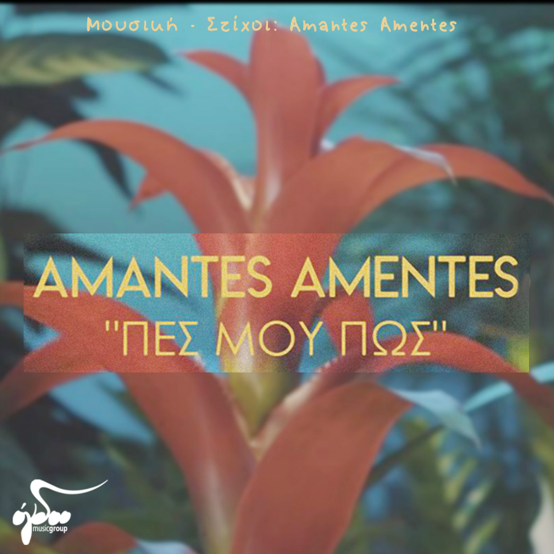 Cover Digital Single amantes amentes