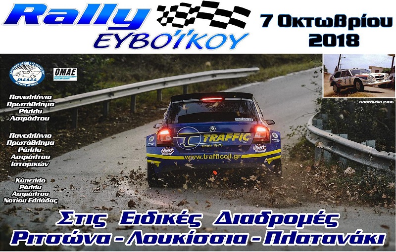rally evoikoy small poster
