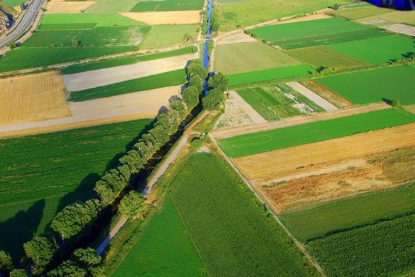 Ακόμη 488  αγρότες εντάσσονται στο πρόγραμμα «Νέοι Γεωργοί»  στη Στερεά Ελλάδα