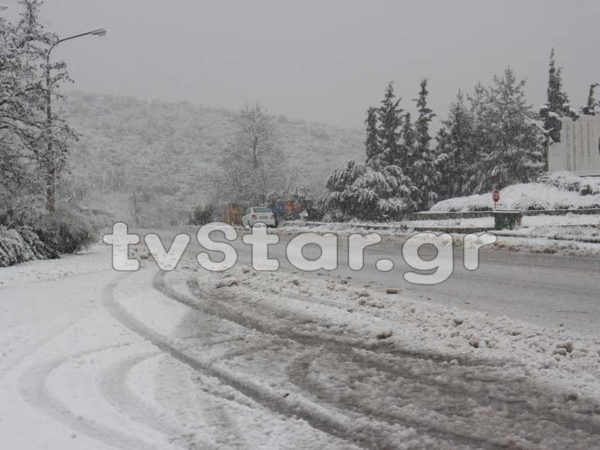Έκτακτη είδηση: Εκτροπή λεωφορείου στον Παρνασσό