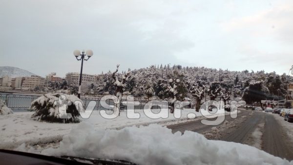 Στα λευκά έντυσε ο Τηλέμαχος τη Χαλκίδα (video)