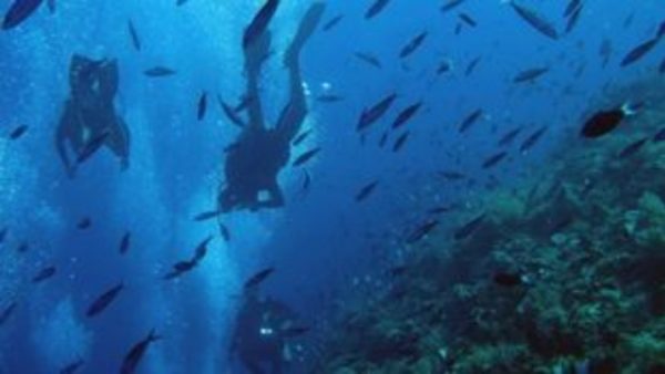 Πετρελαιοφάγα μικρόβια βρέθηκαν στο μεγαλύτερο βάθος των ωκεανών, στην Τάφρο των Μαριανών