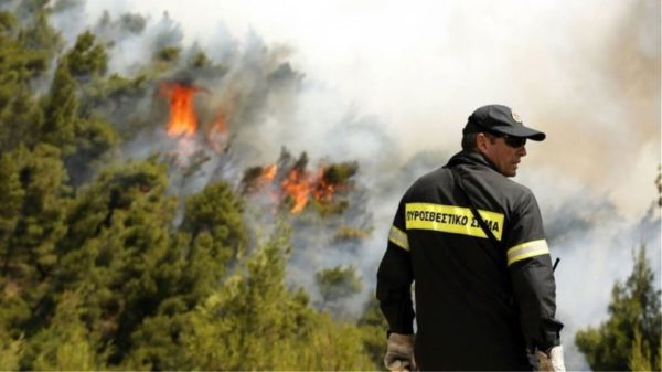 Δύσκολο 48ωρο για εκδήλωση πυρκαγιών – Πολύ υψηλός κίνδυνος σε 8 Περιφερειακές Ενότητες λόγω συνθηκών «Hot-Dry-Windy»