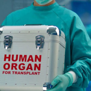 ΤΑ ΣΗΜΑΝΤΙΚΟΤΕΡΑ ΝΕΑ