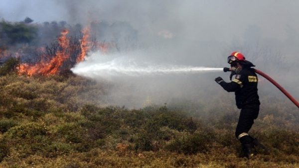 Πυρκαγιά σε δασική έκταση στον Αυλώνα του δήμου Κύμης-Αλιβερίου