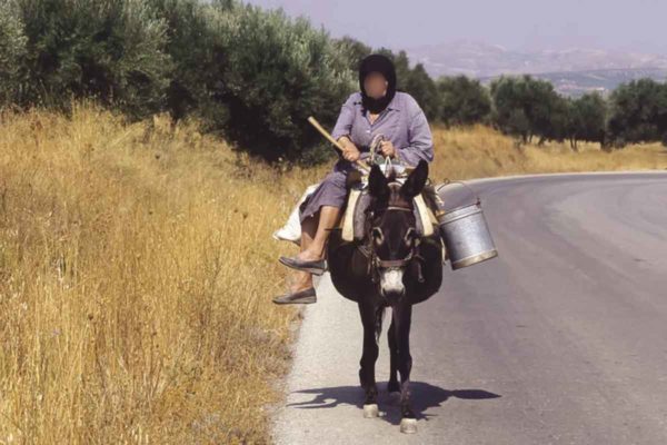 Καρπενήσι: Στα δικαστήρια 80χρονη γιατί δεν είχε κόψει τα νύχια στο γάιδαρό της