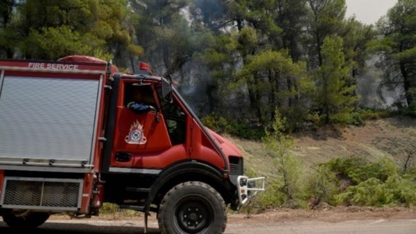 Πυρκαγιά σε δασική έκταση στον Βύρωνα Αττικής