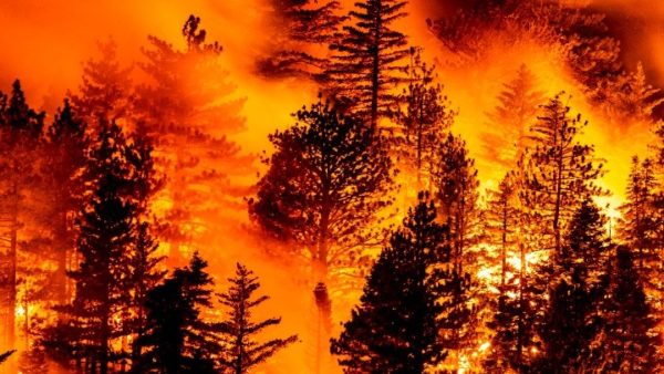 Περισσότερα από 16 εκατ. στρέμματα εκτάσεων έχουν κάψει μέχρι στιγμής οι πυρκαγιές στην Καλιφόρνια