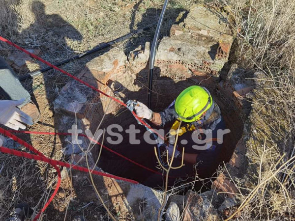 Βοιωτία: Αγριογούρουνο έπεσε σε πηγάδι – Επιχείρηση από την 7η ΕΜΑΚ (φωτο)