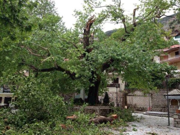 6 χρόνια μετά τον θάνατο του 9χρονου. Αθώοι οι κατηγορούμενοι. (video)