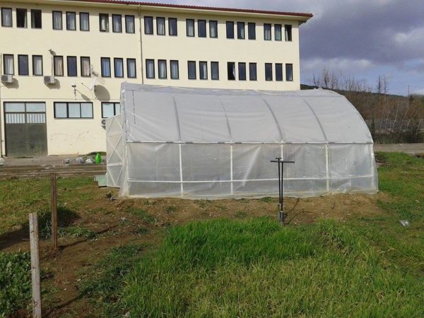 Ευχαριστήρια επισολή του ΕΠΑΛ Μακρακώμης
