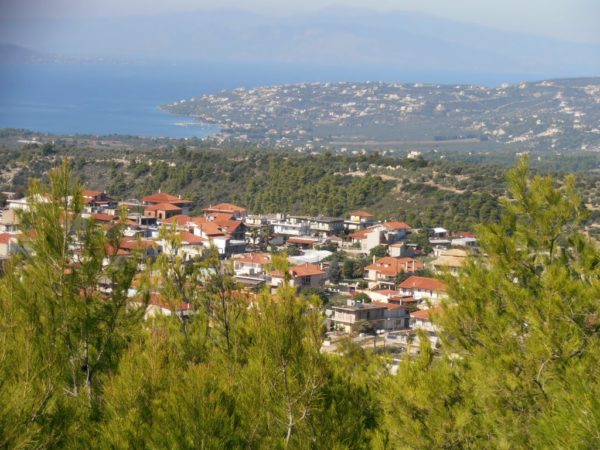 Τηλεδιάσκεψη Βεσυρόπουλου – Οικονόμου : Δρομολογείται λύση για τα «κόκκινα οικόπεδα» της Μαλεσίνας