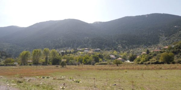 Όχι από το σύλλογο Ελικωνίων στις ανεμογεννήτριες στη Μεγάλη Λούτσα (video)