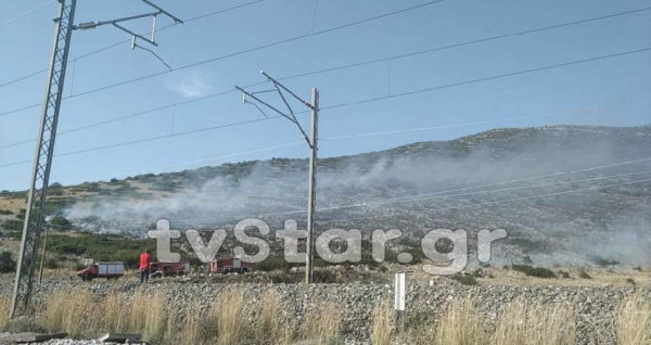 Φωτιά σε περιοχή της Θήβας. (video)