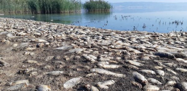 Παραμένει ο κίνδυνος νέας κατάρρευσης της λίμνης Κορώνειας