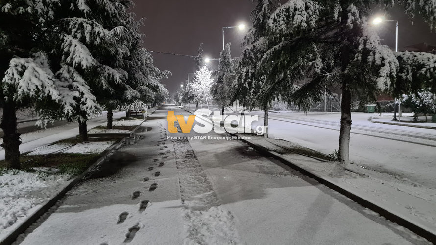 Η Μήδεια έφτασε στην Λαμία