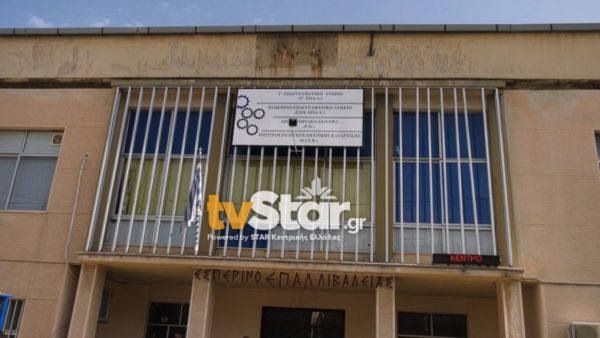 Κρούσμα στο ΕΠΑΛ Λιβαδειάς. Θετική μαθήτρια από τη Μαλεσίνα (video)