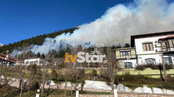 Καρπενήσι: Φωτιά σε δασική έκταση κοντά σε ξενοδοχείο (φωτο-video)
